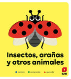 INSECTOS, ARAÑAS Y OTROS ANIMALES (3 ETAPAS)